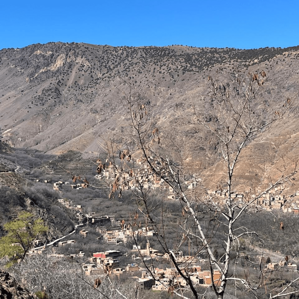 Best day trips from Marrakech