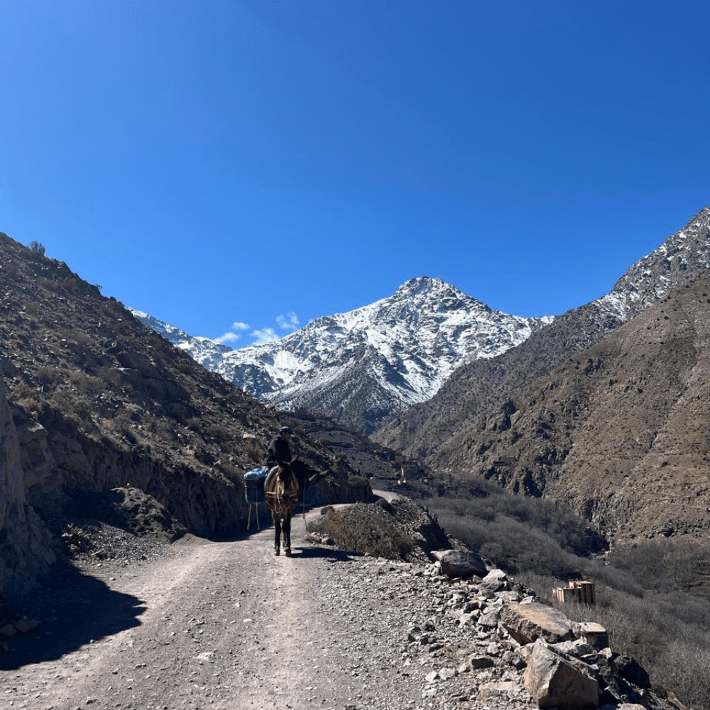 Ourika Valley waterfalls