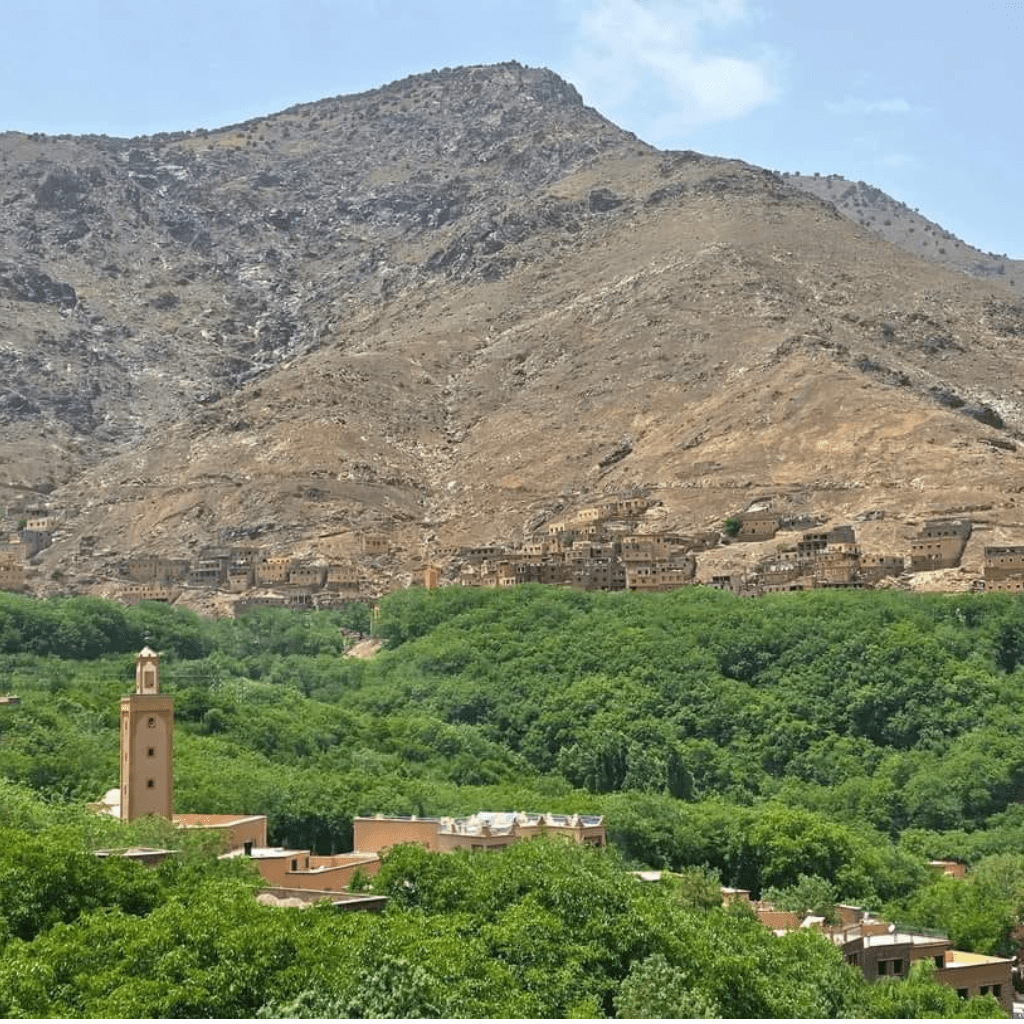 Berber Village Experience & Waterfall Hike in Ourika Valley