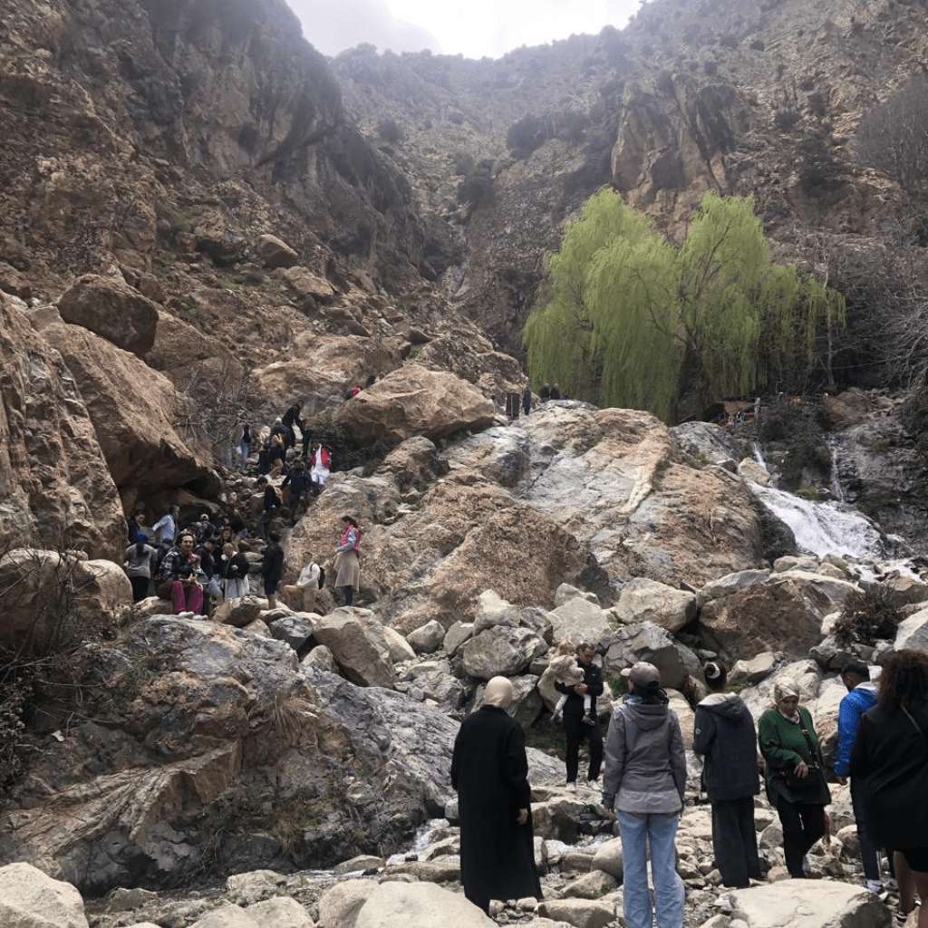 Explore the Atlas Mountains: Ourika Valley Full-Day Adventure
