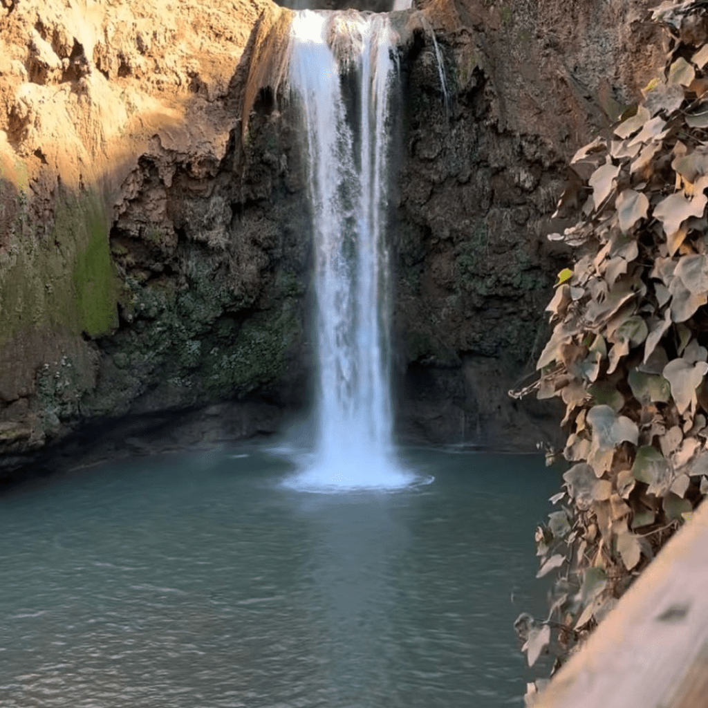 Visit Ouzoud Waterfalls for a Day – Scenic Boat Trip & Wildlife Spotting
