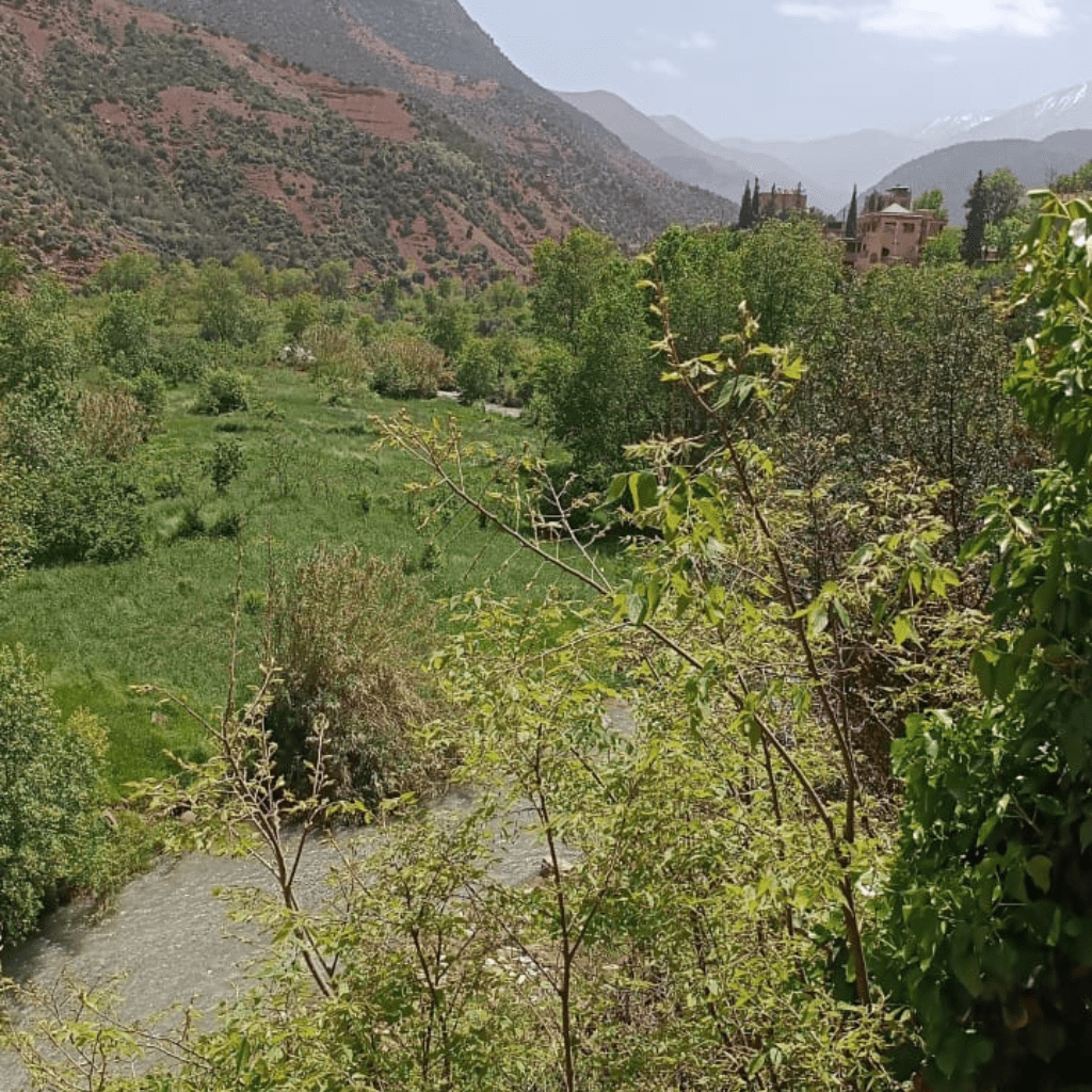 Escape to Ourika Valley: Day Trip from Marrakech to Waterfalls & Berber Villages